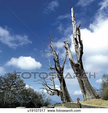 Scenic, Cityscape, Chiayi County, Scenery, Travel, Asia View Large Photo Image Stock Photo - Scenic, Cityscape, Chiayi County, Scenery, Travel, Asia. Fotosearch