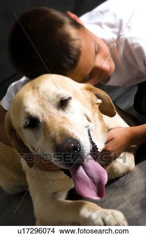 Boy with dog View Large Photo Image Picture - Boy with dog. Fotosearch