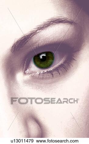 Womans face View Large Photo Image Stock Photo - Womans face. Fotosearch