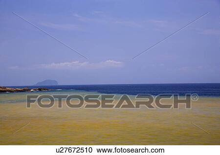 Contrast between contaminated and uncontaminated waters in the same sea View Large Photo Image Stock Image - Contrast between contaminated and uncontaminated waters in the same sea. Fotosearch