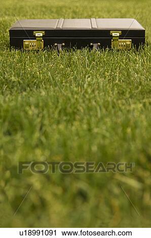 Briefcase in grass View Large Photo Image Stock Image - Briefcase in grass. Fotosearch