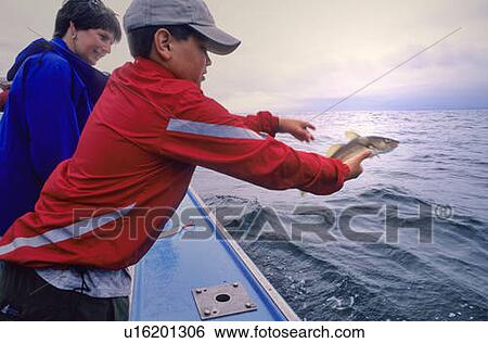 Boy, 12, throws Cod fish back to ocean, PEI View Large Photo Image Stock Photograph - Boy, 12, throws Cod fish back to ocean, PEI. Fotosearch