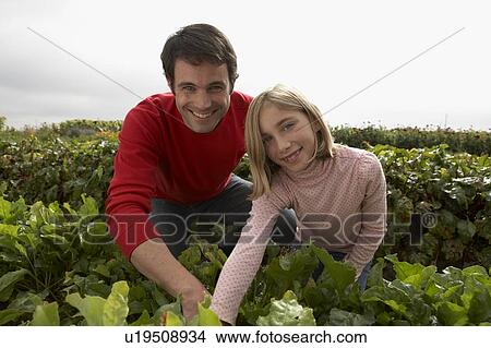 Father and daughter tending crops in an organic garden, Ladner, British Columbia, Canada View Large Photo Image Picture - Father and daughter tending crops in an organic garden, Ladner, British Columbia, Canada. Fotosearch