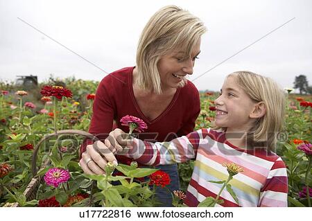Stock Photograph - Mother and daughter in a field of organic flowers, Ladner, British Columbia, Canada. Fotosearch