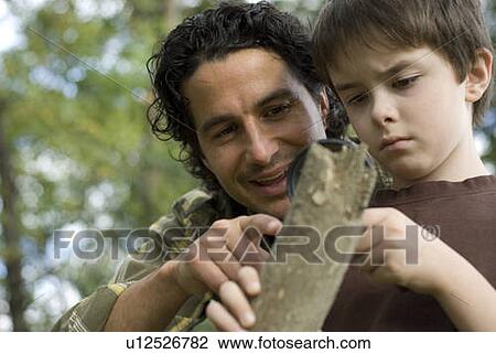 Six year old boy and father look through magnifying glass at rooting log, Assiniboine Park, Winnipeg, Canada View Large Photo Image Stock Image - Six year old boy and father look through magnifying glass at rooting log, Assiniboine Park, Winnipeg, Canada. Fotosearch