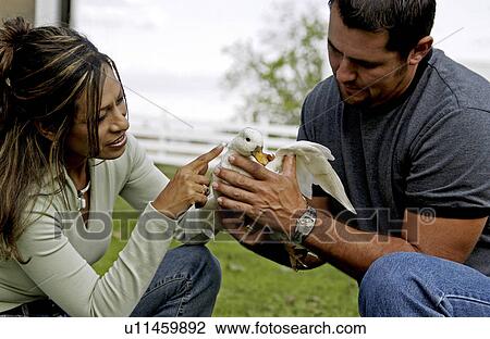 Stock Image - Man and woman holding duck. Fotosearch