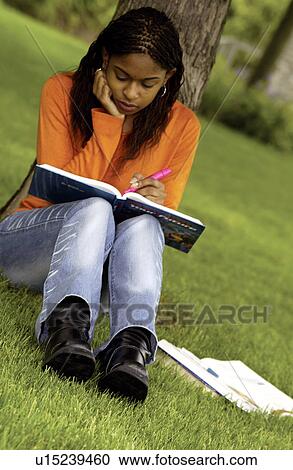 Girl studying under tree View Large Photo Image Stock Image - Girl studying under tree. Fotosearch