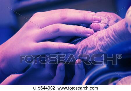 Senior woman in wheelchair holding hands with nurse View Large Photo Image Stock Image - Senior woman in wheelchair holding hands with nurse. Fotosearch