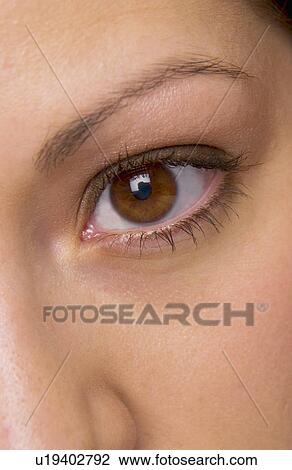 Stock Image - Woman's face. Fotosearch