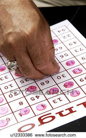 Senior playing bingo View Large Photo Image Stock Photograph - Senior playing bingo. Fotosearch