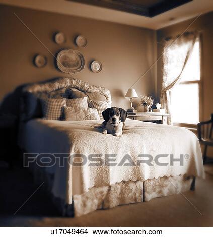 Picture - Bedroom. Fotosearch