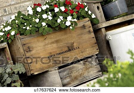 Plants on porch View Large Photo Image Picture - Plants on porch. Fotosearch