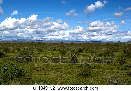 Stock Image - Arizona scenic. Fotosearch