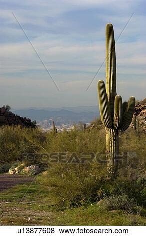 Stock Photo - Arizona scenic. Fotosearch