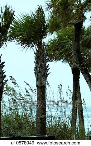 Hurricane View Large Photo Image Stock Photo - Hurricane. Fotosearch