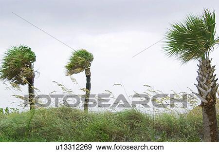 Hurricane View Large Photo Image Stock Photo - Hurricane. Fotosearch