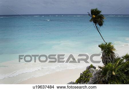 Picture - Ocean scenic. Fotosearch