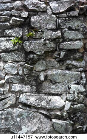 Stock Photo - Stone wall. Fotosearch