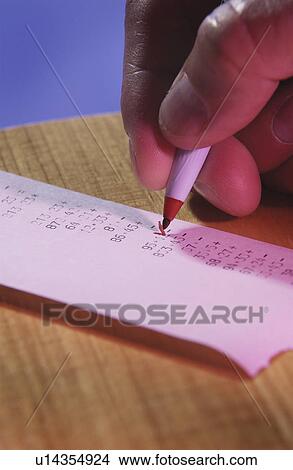 Picture - Person checking a receipt. Fotosearch