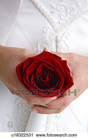 Bride View Large Photo Image Stock Image - Bride. Fotosearch
