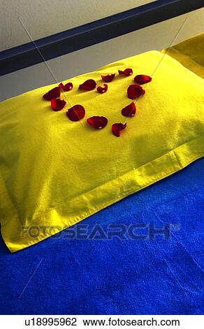 Stock Image - Red rose petals on a yellow pillow. Fotosearch