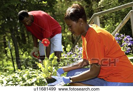 Stock Photo - Couple planting flowers. Fotosearch