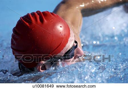 Man Swimming in pool View Large Photo Image Stock Photo - Man Swimming in pool. Fotosearch
