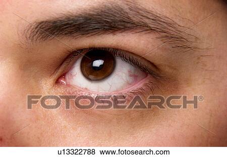 Stock Photo - Mans face. Fotosearch