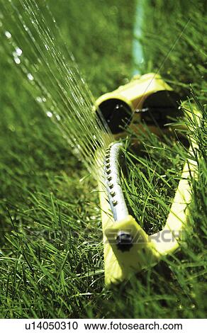Lawn sprinkler View Large Photo Image Stock Image - Lawn sprinkler. Fotosearch