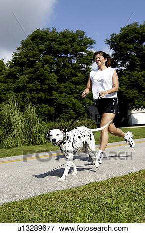Woman running with dog View Large Photo Image Stock Photo - Woman running with dog. Fotosearch