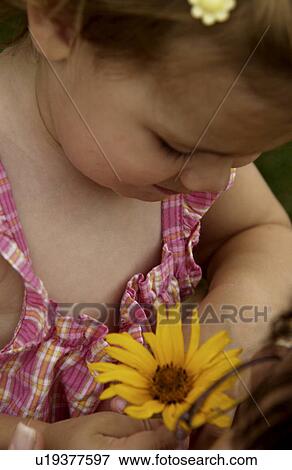 Little girl holding a flower View Large Photo Image Stock Photo - Little girl holding a flower. Fotosearch