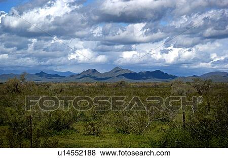Arizona scenic View Large Photo Image Stock Photo - Arizona scenic. Fotosearch