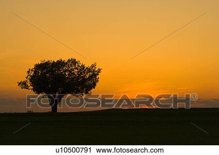Stock Image - Scenic sunset. Fotosearch