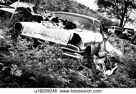Old car in junkyard View Large Photo Image Stock Photograph - Old car in junkyard. Fotosearch