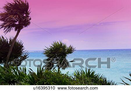 Stock Image - Caribbean scenery. Fotosearch