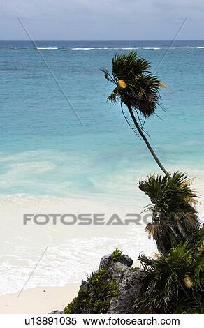 Caribbean scenery View Large Photo Image Stock Photography - Caribbean scenery. Fotosearch