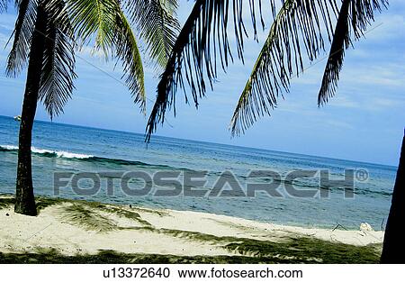 Stock Image - Haiti beachfront. Fotosearch