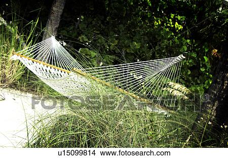 Hammock View Large Photo Image Picture - Hammock. Fotosearch