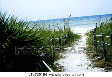 Natural pathway to beach View Large Photo Image Picture - Natural pathway to beach. Fotosearch