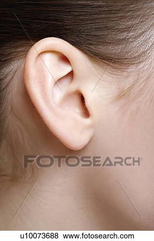Stock Photo - Beauty shot of woman's ear. Fotosearch