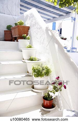 Stock Photography - Plants on whitewashed steps. Fotosearch