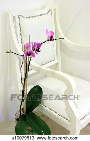 Chair in waiting room View Large Photo Image Stock Image - Chair in waiting room. Fotosearch