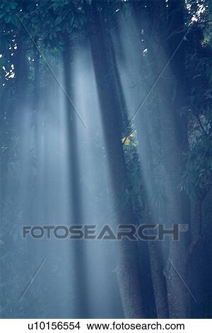 Natural Impressions, Nature, Landscape, Scenery View Large Photo Image Picture - Natural Impressions, Nature, Landscape, Scenery. Fotosearch