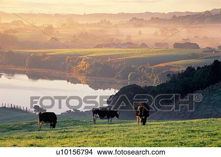 Picture - Natural Impressions, Nature, Landscape, Scenery. Fotosearch