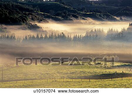 Picture - Natural Impressions, Nature, Landscape, Scenery. Fotosearch