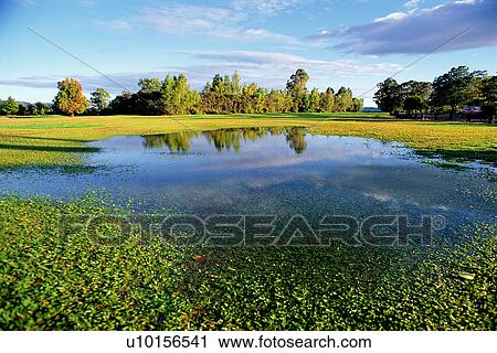 Stock Image - Natural Impressions, Nature, Landscape, Scenery. Fotosearch