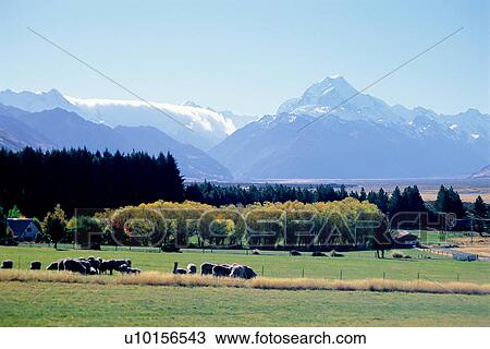 Stock Image - Natural Impressions, Nature, Landscape, Scenery. Fotosearch