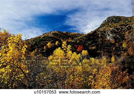 Stock Image - Natural Impressions, Nature, Landscape, Scenery. Fotosearch
