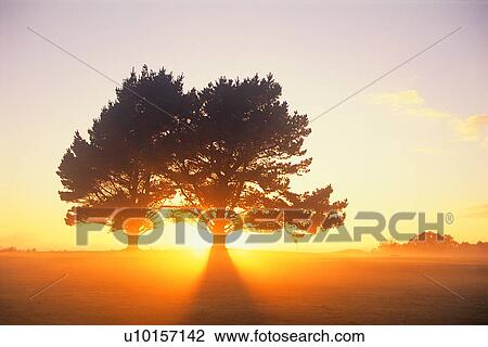 Natural Impressions, Nature, Landscape, Scenery View Large Photo Image Stock Image - Natural Impressions, Nature, Landscape, Scenery. Fotosearch