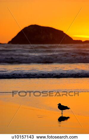 Stock Image - Natural Impressions, Nature, Landscape, Scenery. Fotosearch